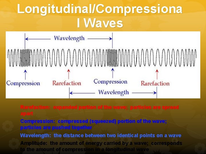 Longitudinal/Compressiona l Waves Rarefaction: expanded portion of the wave; particles are spread apart Compression: Longitudinal/Compressiona l Waves Rarefaction: expanded portion of the wave; particles are spread apart Compression: