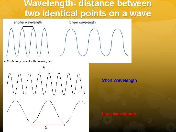 Wavelength- distance between two identical points on a wave Short Wavelength Long Wavelength Wavelength- distance between two identical points on a wave Short Wavelength Long Wavelength