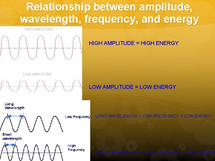 Relationship between amplitude, wavelength, frequency, and energy HIGH AMPLITUDE = HIGH ENERGY LOW AMPLITUDE Relationship between amplitude, wavelength, frequency, and energy HIGH AMPLITUDE = HIGH ENERGY LOW AMPLITUDE