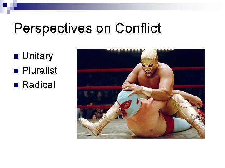 Perspectives on Conflict Unitary n Pluralist n Radical n 