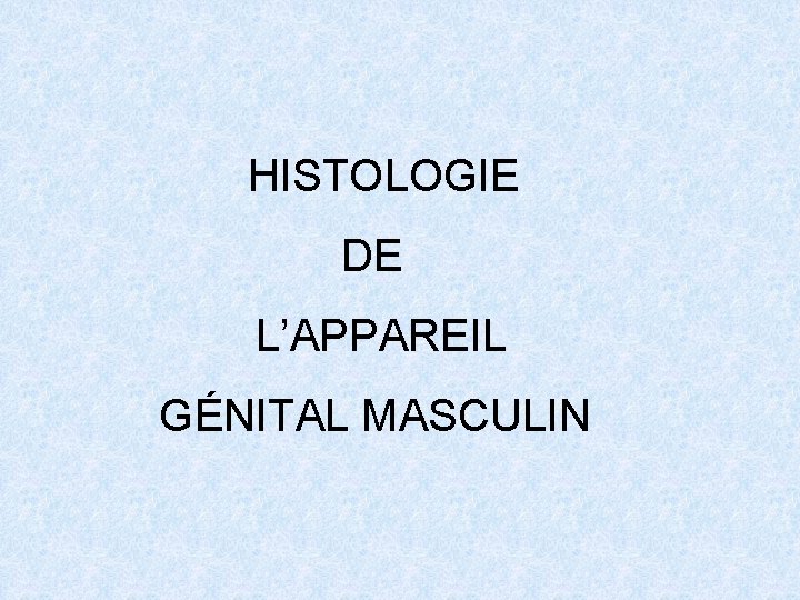 HISTOLOGIE DE L’APPAREIL GÉNITAL MASCULIN 