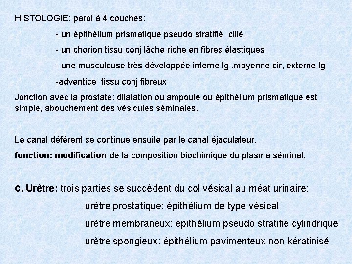 HISTOLOGIE: paroi à 4 couches: - un épithélium prismatique pseudo stratifié cilié - un