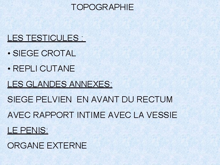 TOPOGRAPHIE LES TESTICULES : • SIEGE CROTAL • REPLI CUTANE LES GLANDES ANNEXES: SIEGE