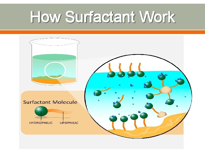 How Surfactant Work 