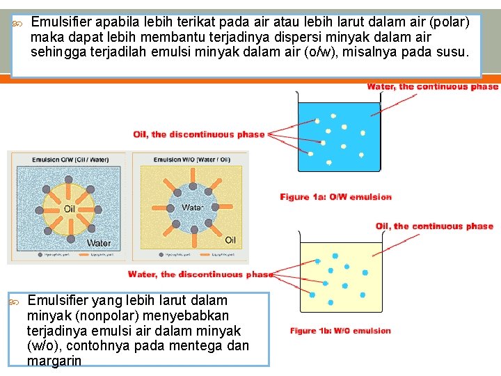  Emulsifier apabila lebih terikat pada air atau lebih larut dalam air (polar) maka