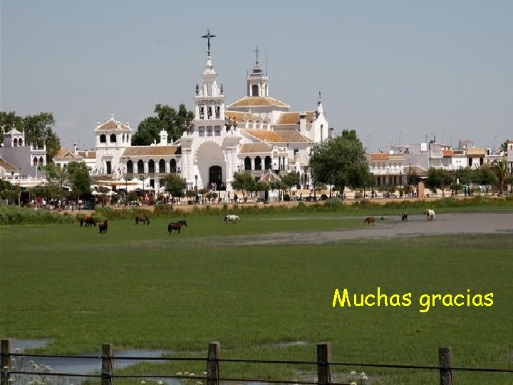 Muchas gracias 