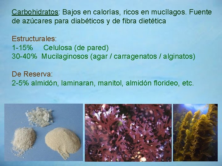 Carbohidratos: Bajos en calorías, ricos en mucílagos. Fuente de azúcares para diabéticos y de