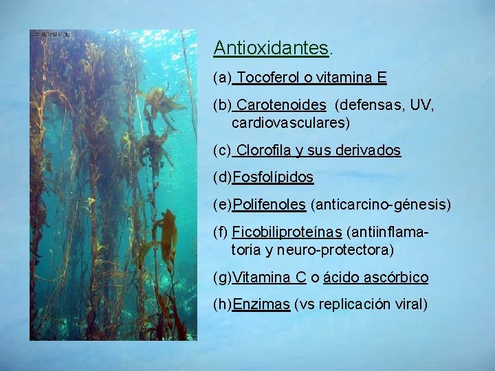 Antioxidantes. (a) Tocoferol o vitamina E (b) Carotenoides (defensas, UV, cardiovasculares) (c) Clorofila y