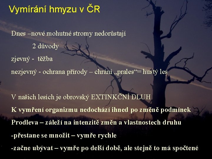 Vymírání hmyzu v ČR Dnes –nové mohutné stromy nedorůstají 2 důvody zjevný - těžba Vymírání hmyzu v ČR Dnes –nové mohutné stromy nedorůstají 2 důvody zjevný - těžba