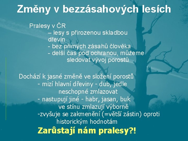 Změny v bezzásahových lesích Pralesy v ČR – lesy s přirozenou skladbou dřevin - Změny v bezzásahových lesích Pralesy v ČR – lesy s přirozenou skladbou dřevin -