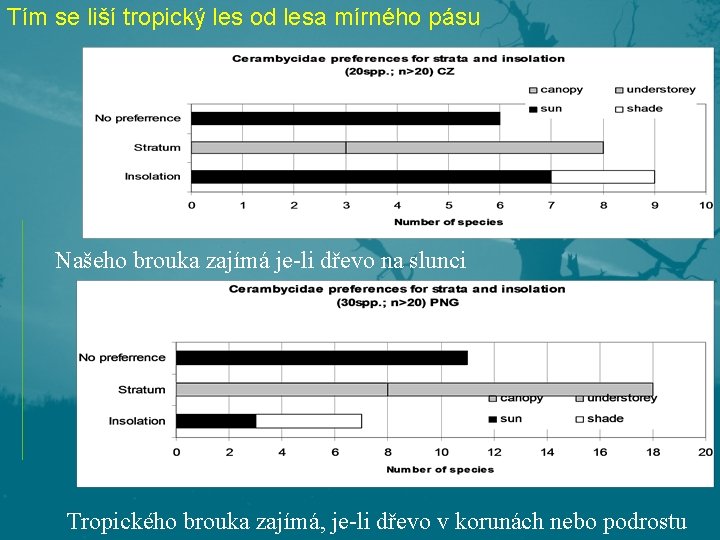 Tím se liší tropický les od lesa mírného pásu Našeho brouka zajímá je-li dřevo Tím se liší tropický les od lesa mírného pásu Našeho brouka zajímá je-li dřevo