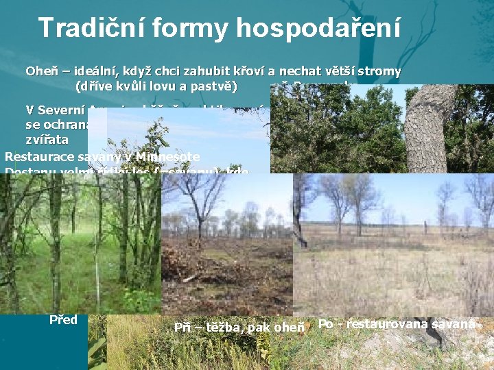 Tradiční formy hospodaření Oheň – ideální, když chci zahubit křoví a nechat větší stromy Tradiční formy hospodaření Oheň – ideální, když chci zahubit křoví a nechat větší stromy