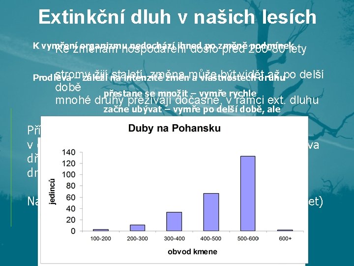 Extinkční dluh v našich lesích K vymření organizmu nedochází ihned po změně podmínek Ke Extinkční dluh v našich lesích K vymření organizmu nedochází ihned po změně podmínek Ke