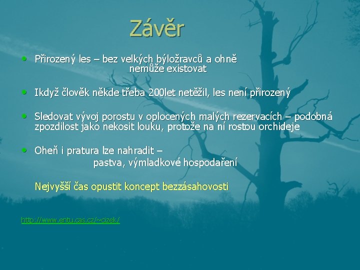 Závěr • Přirozený les – bez velkých býložravců a ohně nemůže existovat • Ikdyž Závěr • Přirozený les – bez velkých býložravců a ohně nemůže existovat • Ikdyž