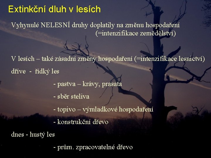 Extinkční dluh v lesích Vyhynulé NELESNÍ druhy doplatily na změnu hospodaření (=intenzifikace zemědělství) V Extinkční dluh v lesích Vyhynulé NELESNÍ druhy doplatily na změnu hospodaření (=intenzifikace zemědělství) V