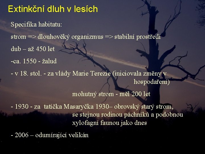 Extinkční dluh v lesích Specifika habitatu: strom => dlouhověký organizmus => stabilní prostředí dub Extinkční dluh v lesích Specifika habitatu: strom => dlouhověký organizmus => stabilní prostředí dub