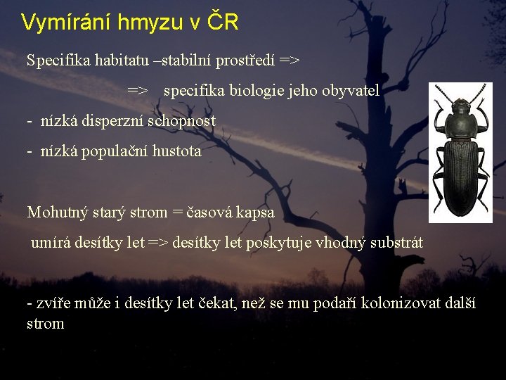 Vymírání hmyzu v ČR Specifika habitatu –stabilní prostředí => => specifika biologie jeho obyvatel Vymírání hmyzu v ČR Specifika habitatu –stabilní prostředí => => specifika biologie jeho obyvatel