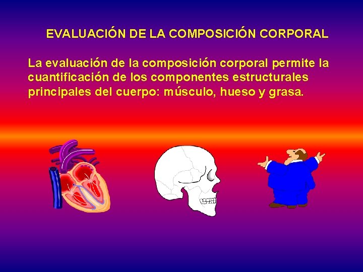 EVALUACIÓN DE LA COMPOSICIÓN CORPORAL La evaluación de la composición corporal permite la cuantificación