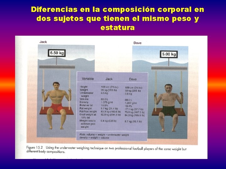 Diferencias en la composición corporal en dos sujetos que tienen el mismo peso y