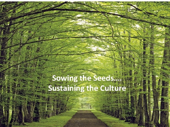Sowing the Seeds…. Sustaining the Culture 43 
