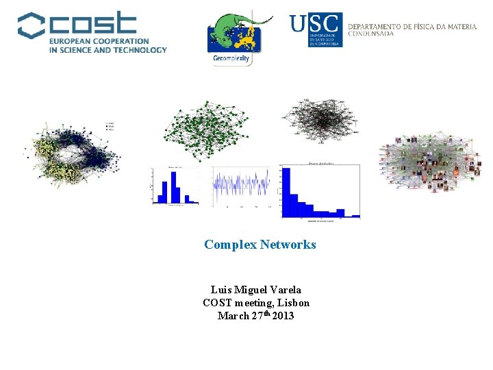Complex Networks Luis Miguel Varela COST meeting, Lisbon March 27 th 2013 