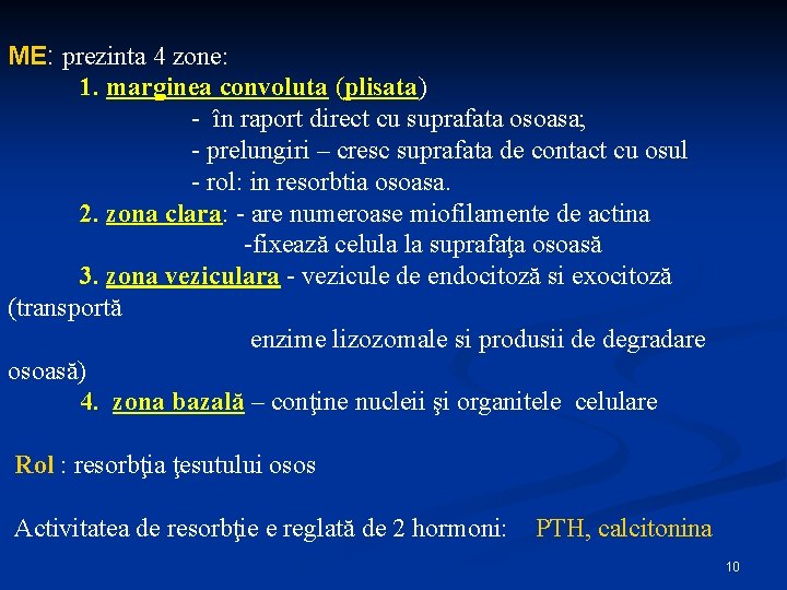 ME: prezinta 4 zone: 1. marginea convoluta (plisata) - în raport direct cu suprafata