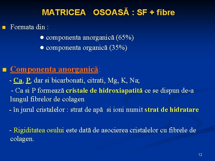 MATRICEA OSOASĂ : SF + fibre n Formata din : ● componenta anorganică (65%)
