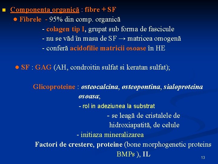 n Componenta organică : fibre + SF ● Fibrele - 95% din comp. organică
