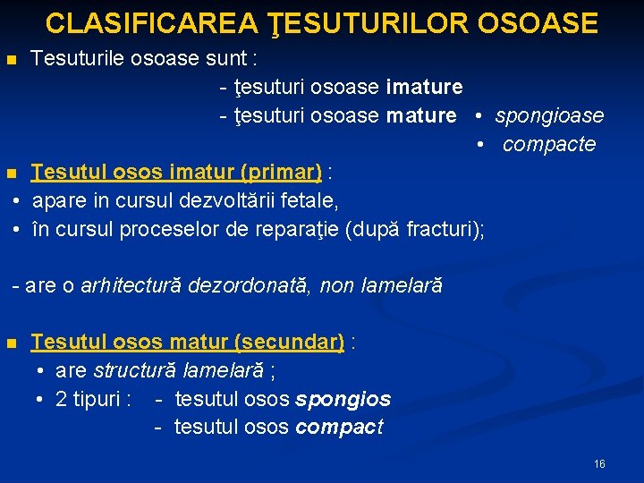 CLASIFICAREA ŢESUTURILOR OSOASE Tesuturile osoase sunt : - ţesuturi osoase imature - ţesuturi osoase
