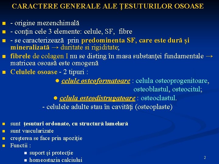 CARACTERE GENERALE ŢESUTURILOR OSOASE n n n n n - origine mezenchimală - conţin