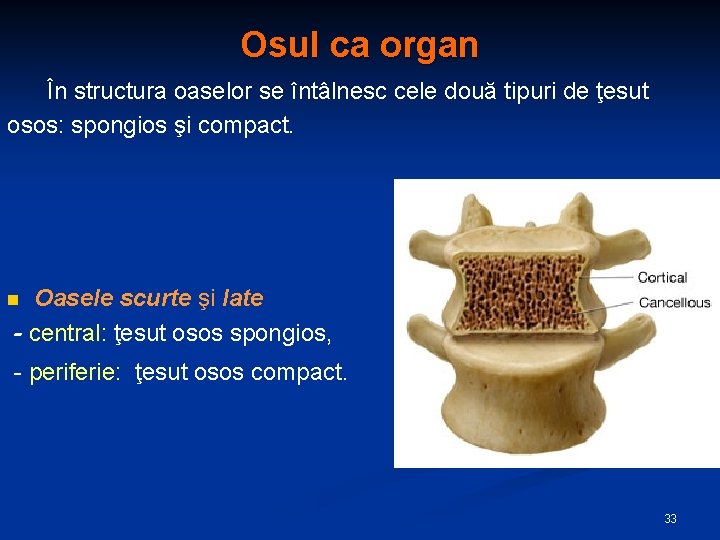 Osul ca organ În structura oaselor se întâlnesc cele două tipuri de ţesut osos: