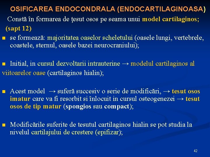 OSIFICAREA ENDOCONDRALA (ENDOCARTILAGINOASA) Constă în formarea de ţesut osos pe seama unui model cartilaginos;