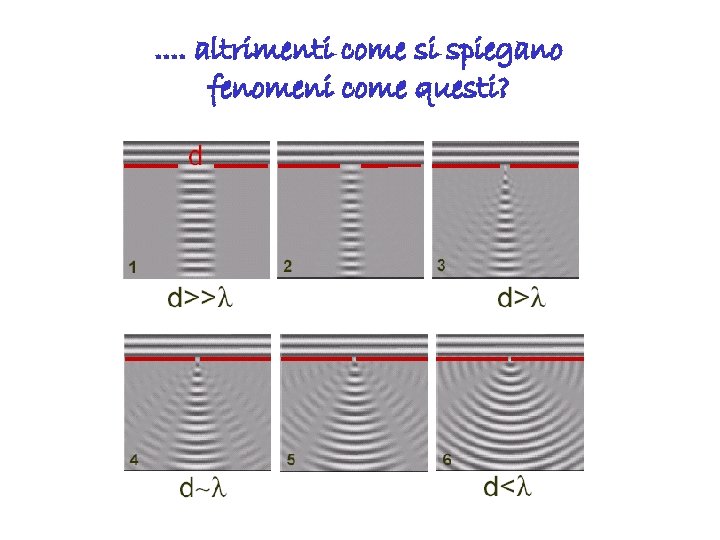 . . altrimenti come si spiegano fenomeni come questi? 