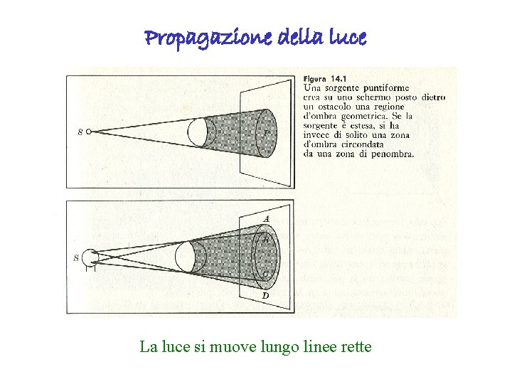 Propagazione della luce La luce si muove lungo linee rette 