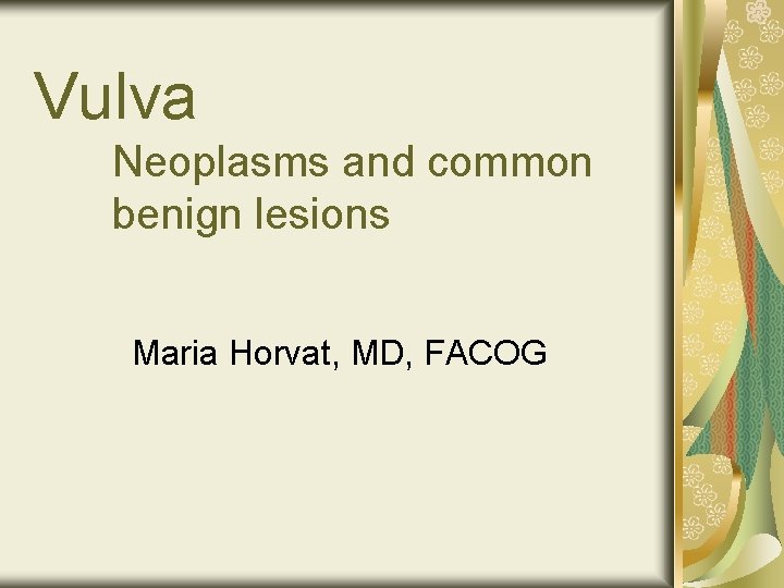 Vulva Neoplasms and common benign lesions Maria Horvat, MD, FACOG 