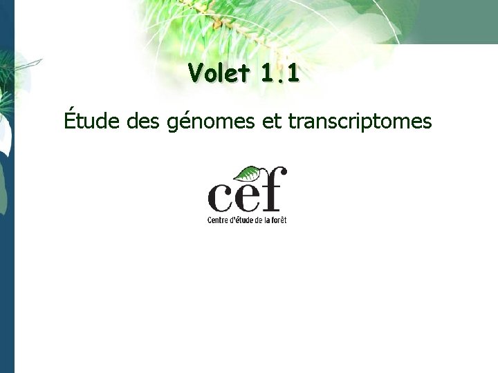 Volet 1. 1 Étude des génomes et transcriptomes 