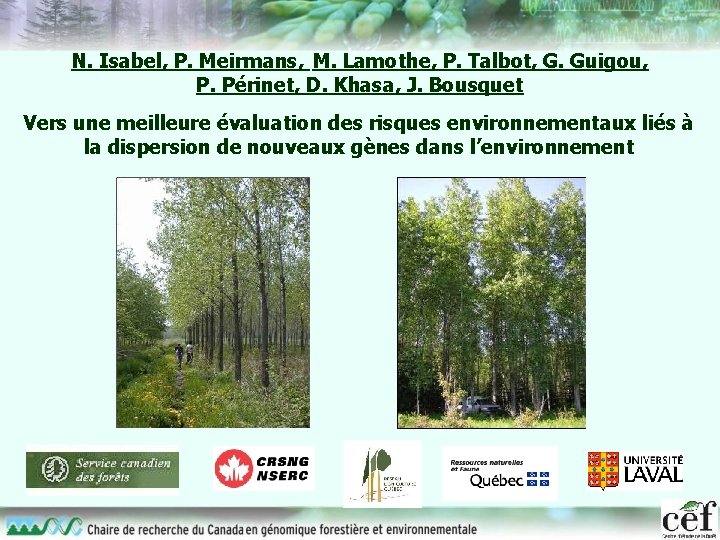 N. Isabel, P. Meirmans, M. Lamothe, P. Talbot, G. Guigou, P. Périnet, D. Khasa,