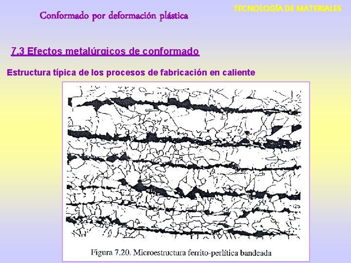 Conformado por deformación plástica TECNOLOGÍA DE MATERIALES 7. 3 Efectos metalúrgicos de conformado Estructura