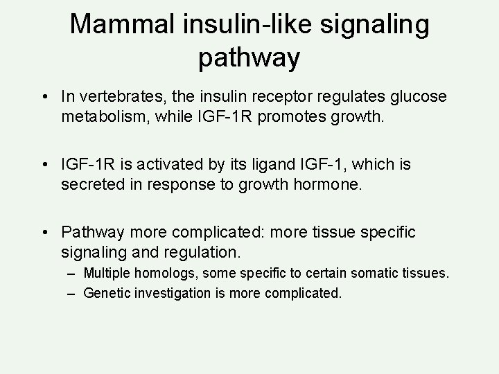 Mammal insulin-like signaling pathway • In vertebrates, the insulin receptor regulates glucose metabolism, while