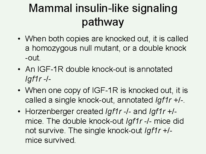 Mammal insulin-like signaling pathway • When both copies are knocked out, it is called