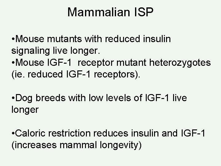Mammalian ISP • Mouse mutants with reduced insulin signaling live longer. • Mouse IGF-1