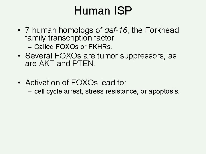 Human ISP • 7 human homologs of daf-16, the Forkhead family transcription factor. –