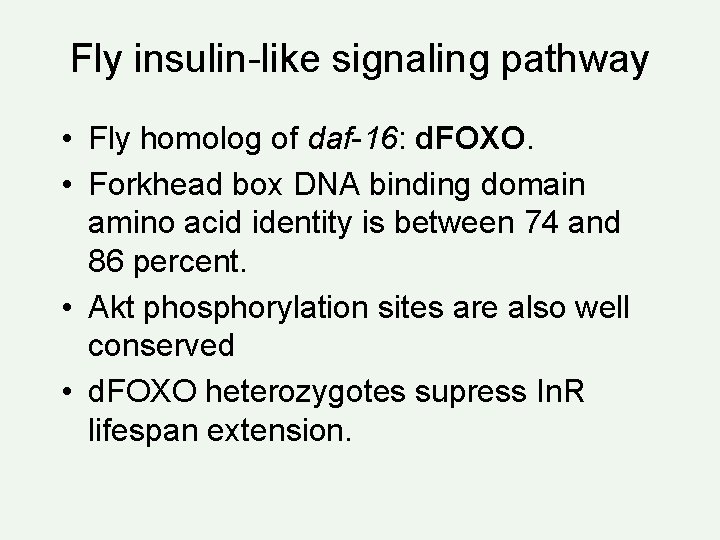 Fly insulin-like signaling pathway • Fly homolog of daf-16: d. FOXO. • Forkhead box