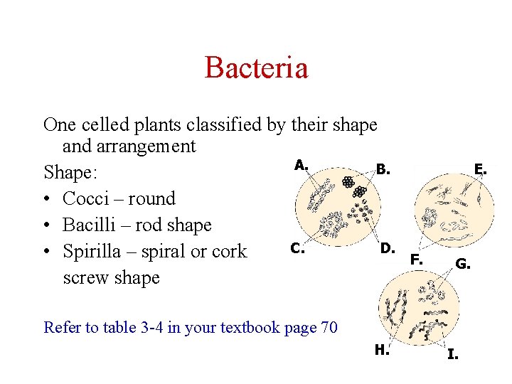 Bacteria One celled plants classified by their shape and arrangement A. B. Shape: •