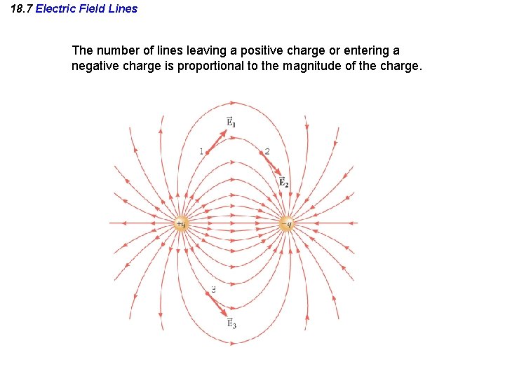 18. 7 Electric Field Lines The number of lines leaving a positive charge or