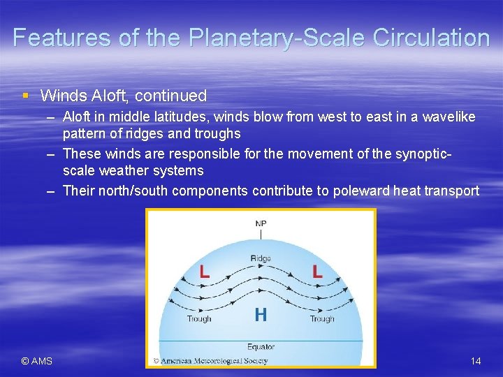 Features of the Planetary-Scale Circulation § Winds Aloft, continued – Aloft in middle latitudes,