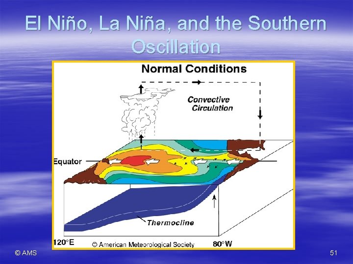 El Niño, La Niña, and the Southern Oscillation © AMS 51 