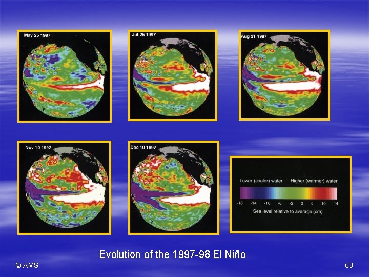 Evolution of the 1997 -98 El Niño © AMS 60 Evolution of the 1997 -98 El Niño © AMS 60