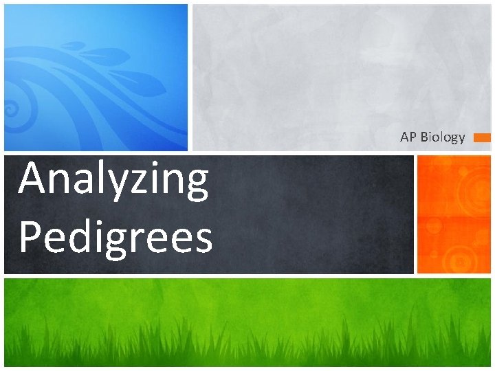 AP Biology Analyzing Pedigrees 