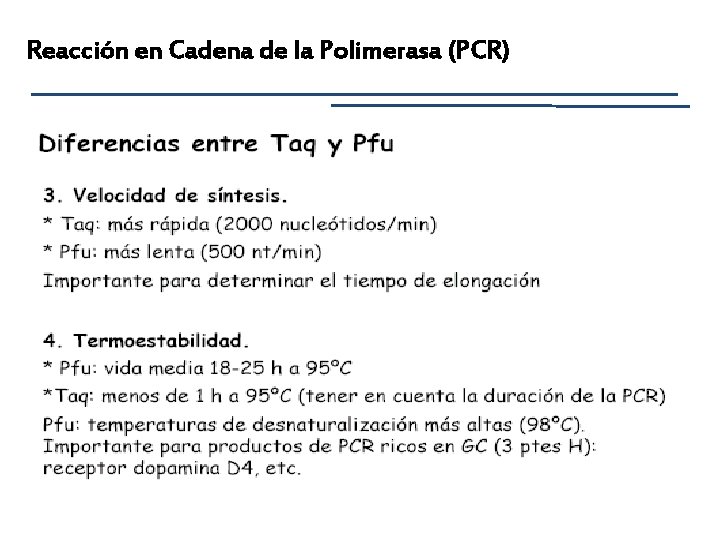 Reacción en Cadena de la Polimerasa (PCR) 